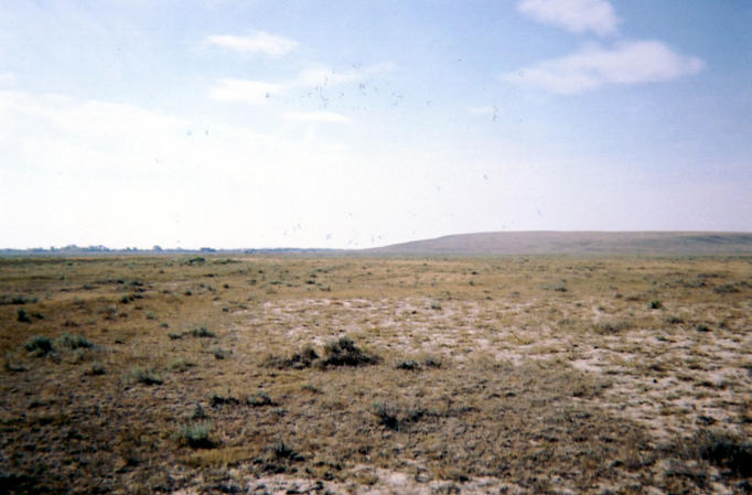 Looking south from confluence