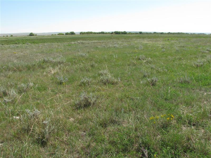 South from the confluence