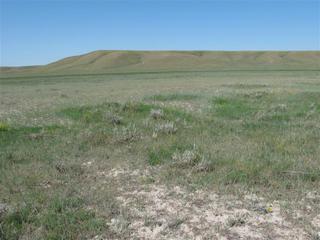 #1: Looking North from the confluence