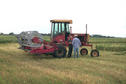 #6: Seeking permission to walk into the adjacent wheat field.