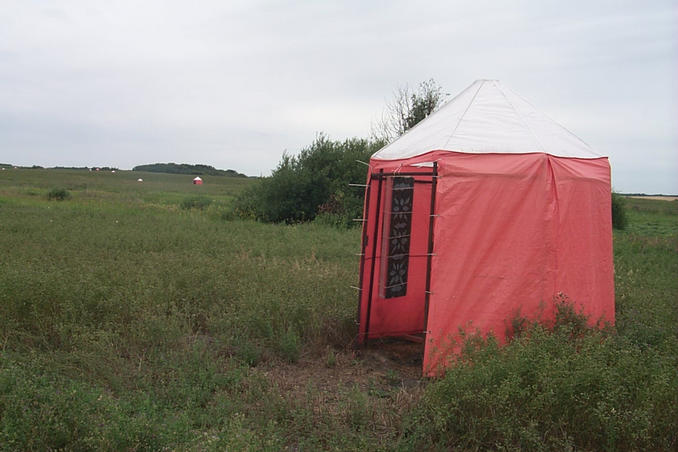 Leaf cutter bee "tents" prevalent throughout this area.