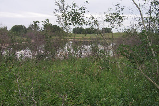 Looking south from the confluence.