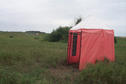 #10: Leaf cutter bee "tents" prevalent throughout this area.