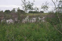 #2: Looking south from the confluence.