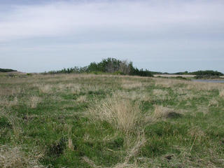 #1: View North from the confluence