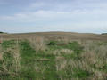 #3: View South from the confluence