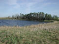 #6: The pond just a few meters from the confluence