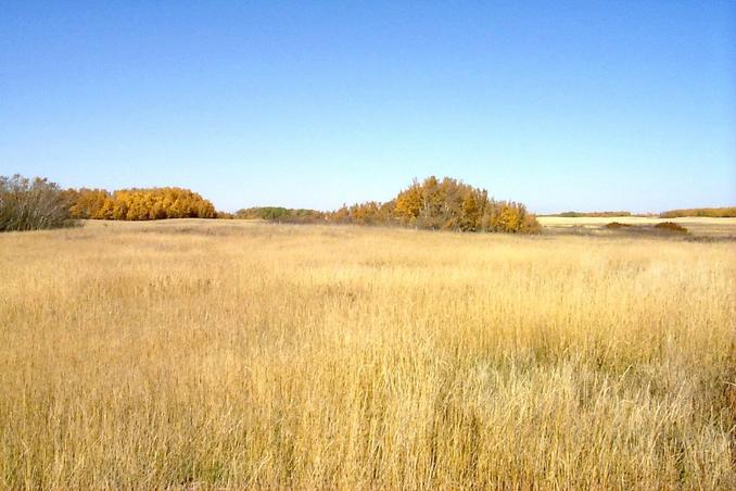 Looking north from the confluence.