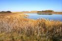 #7: Looking over the pond located 100 m NE from the confluence.