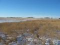 #6: Facing East