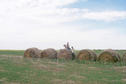 #5: Max, Carolyn and Alan posing on huge bales of hay just south of the confluence.