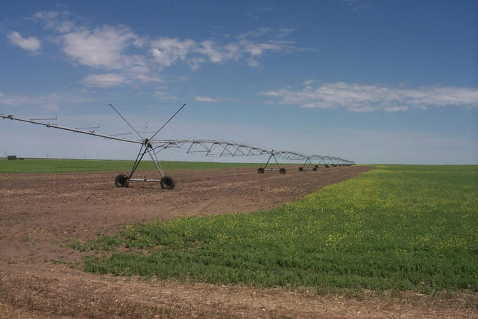 The Irrigation Sprinkler System.