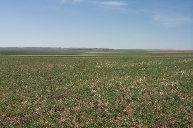Looking northwest showing the Hutterite Colony in the center.