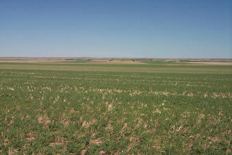 #1: Looking east.