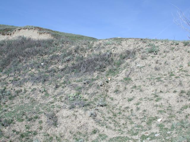 Facing west