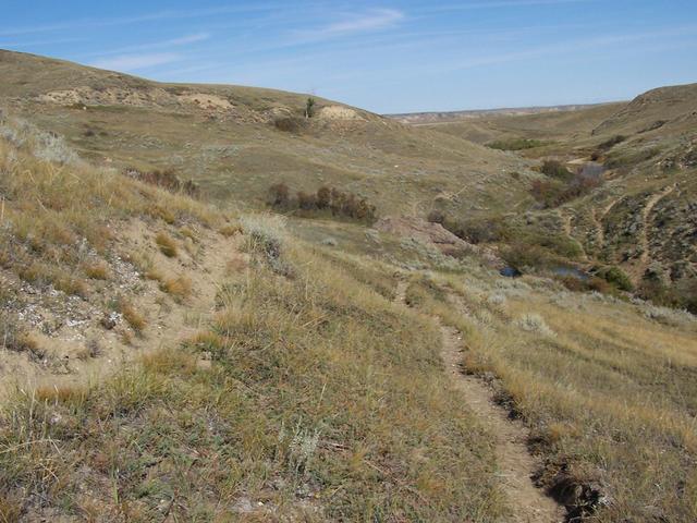 Overview from 180 meters.  The confluence is on the hillside below the lone tree on distant ridge.