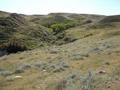 #4: Looking Southeast from the confluence.