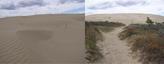 #9: Dunes in the Great Sand Hills.