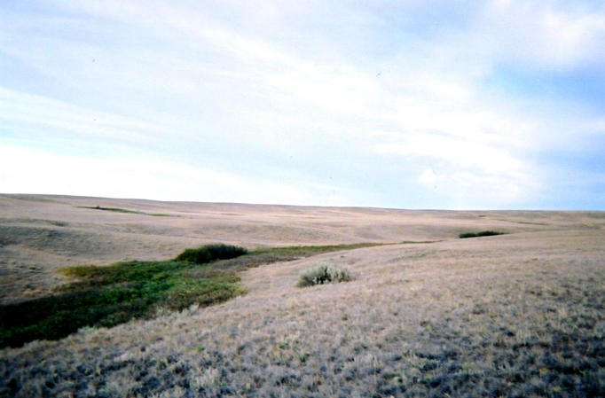 Looking west from confluence