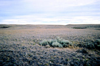 #1: Looking north from confluence