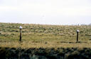 #6: Area farmer has too many hats  (1/2 mile)  :-)
