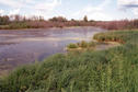 #4: A typical prairie slough (pronounced slew)