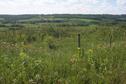 #10: A view of the valley just west of the confluence.