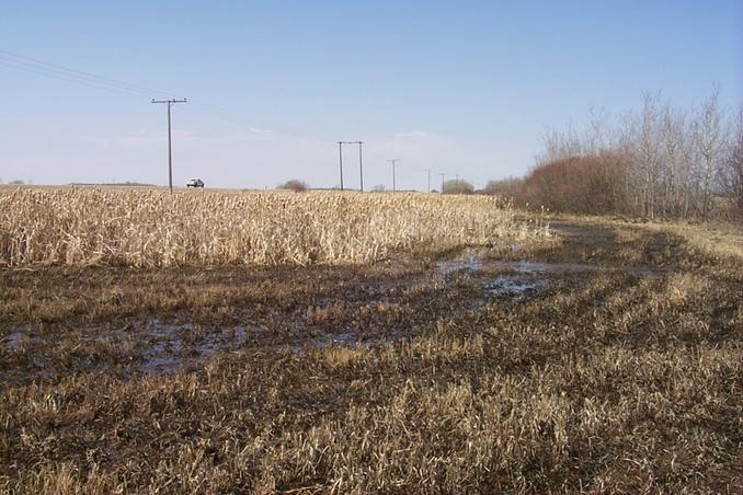 The view west. The CP is situated below the double utility poles.