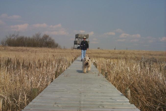 Alan and Max at the Wadena Wetlands, 12 km southeast from the confluence.