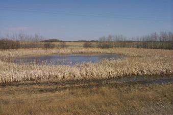 #1: The view NE.  The CP is in the center of the photo.