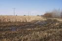 #3: The view west. The CP is situated below the double utility poles.