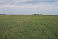 52°N 106°W preview image