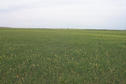 #3: Looking south.