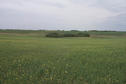 #4: Looking west.