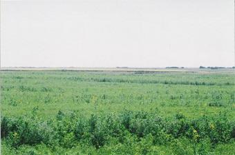 #1: looking south