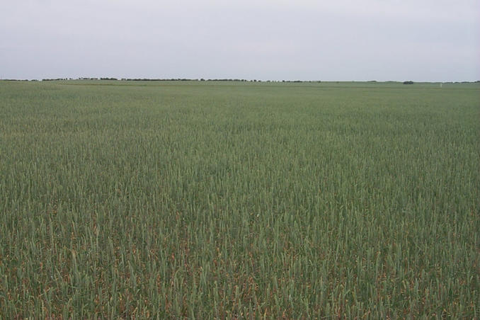 Looking south.