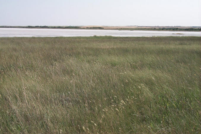 Looking south towards the "lake".