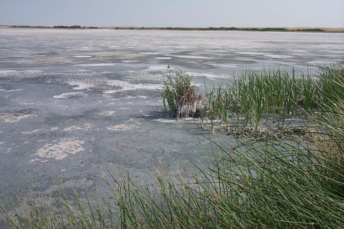 Looking out into the "lake".