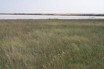 #1: Looking south towards the "lake".