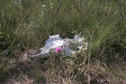 #8: Life and death in a prairie pasture.