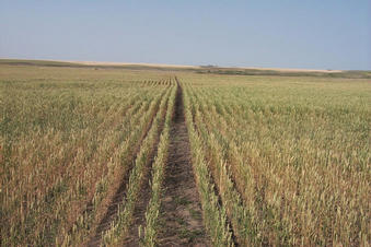 #1: Looking north from the confluence point towards a small valley in the distance.