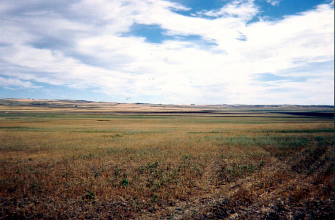 Looking east from the confluence