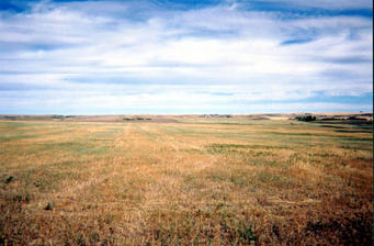 #1: Looking north from the confluence