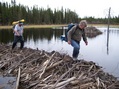 #8: Crossing A Beaver Dam