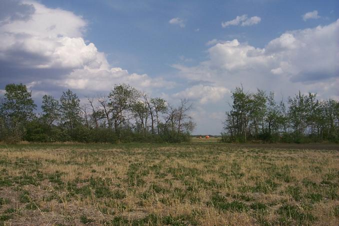 Looking east we could see the orange leaf cutter bee tents in the next field.