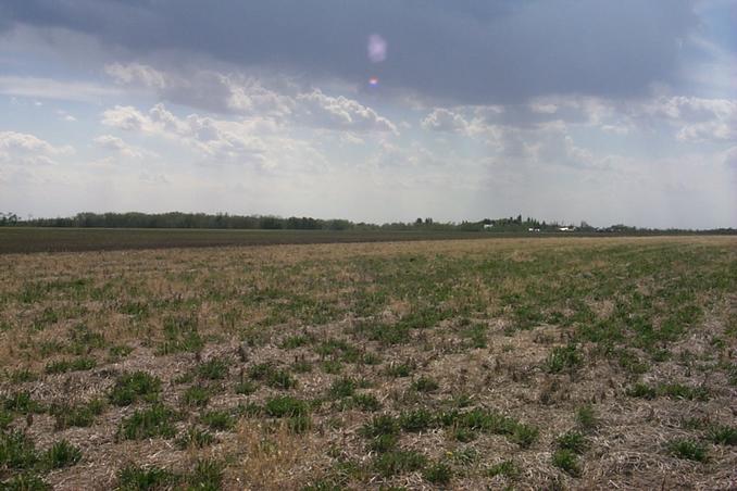 Looking SW towards the owner's farm.