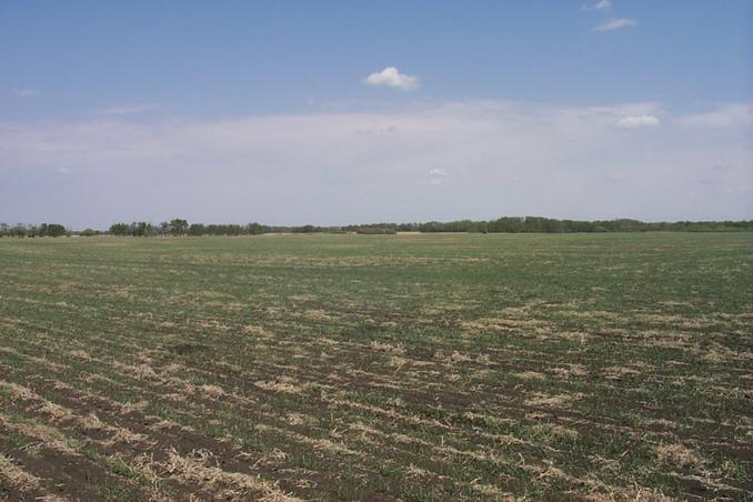 Overview to the NE.  The Confluence Point is in the center of the picture.