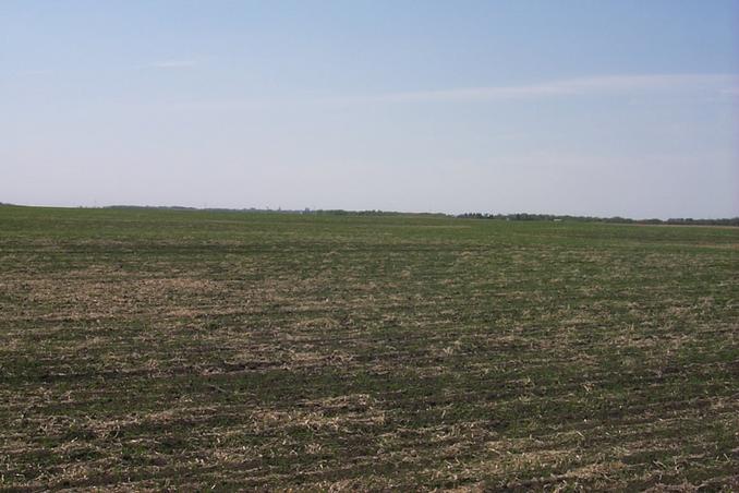 The view to the SW.  The elevators of Kinistino can be seen on the horizon.