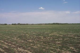 #1: Overview to the NE.  The Confluence Point is in the center of the picture.