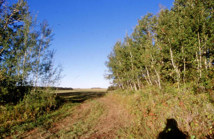 The view west from the confluence.